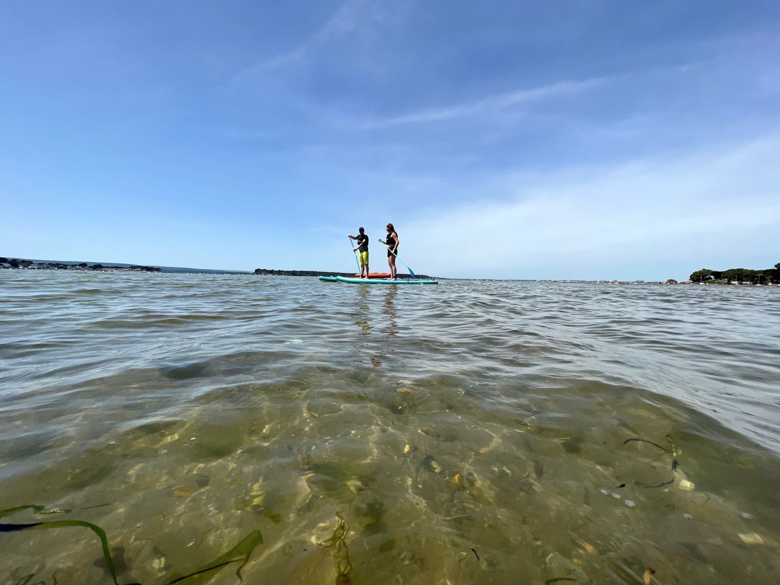 Two paddleboarders at Poole harbour 